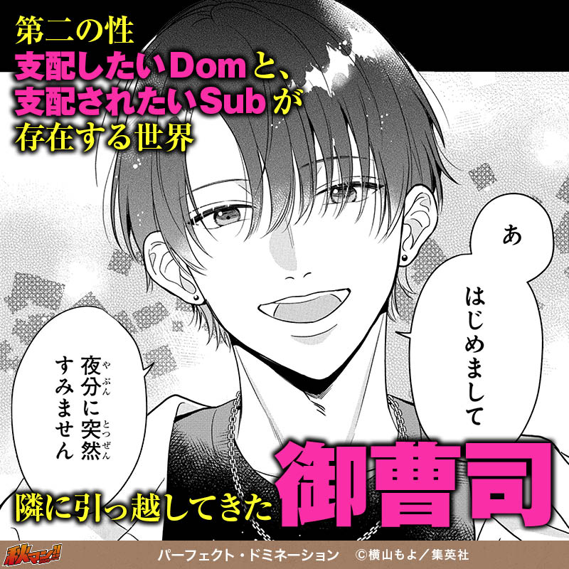 パーフェクト・ドミネーション