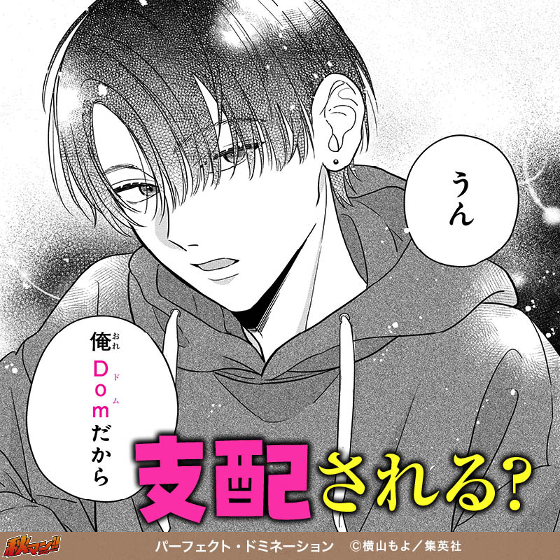 パーフェクト・ドミネーション