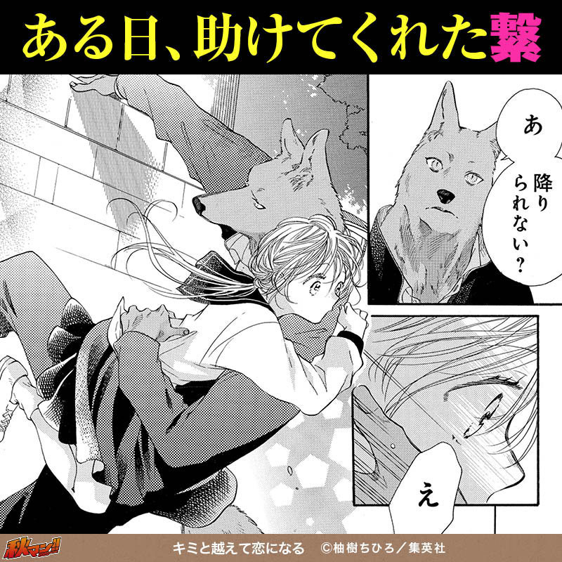 キミと越えて恋になる