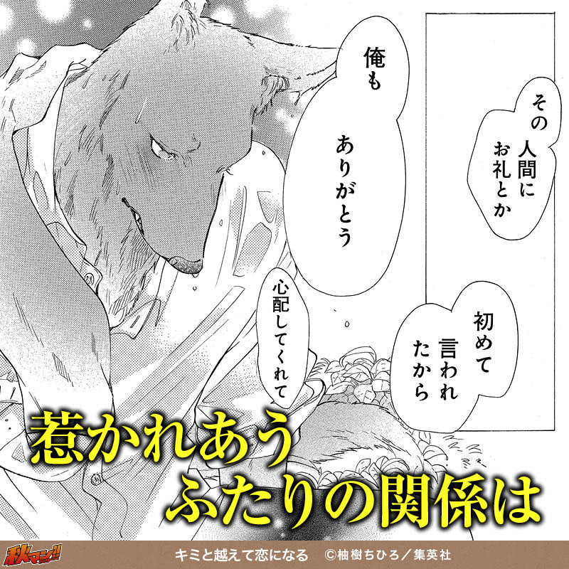 キミと越えて恋になる