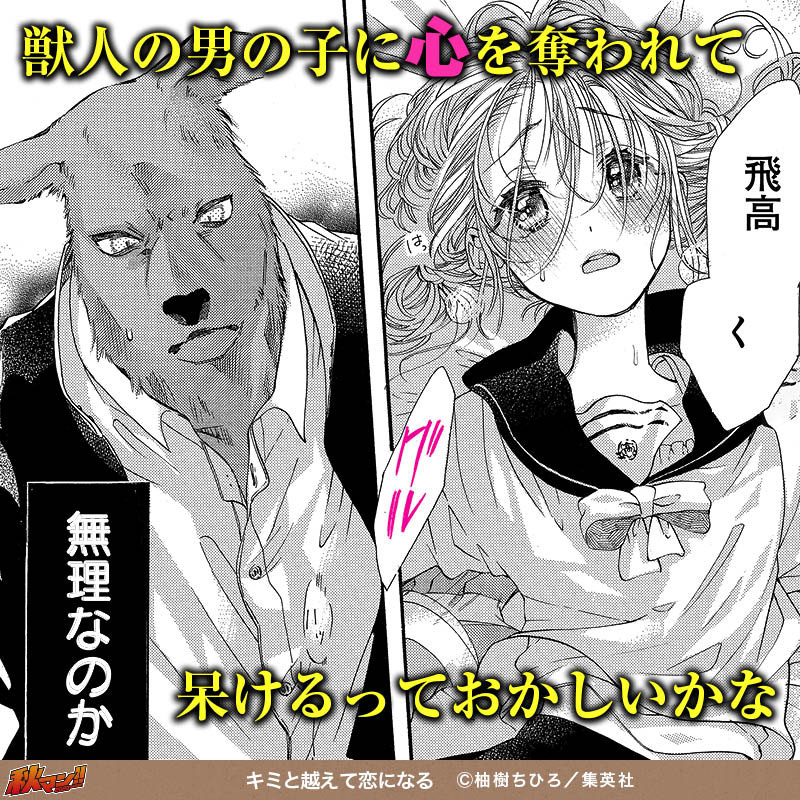キミと越えて恋になる