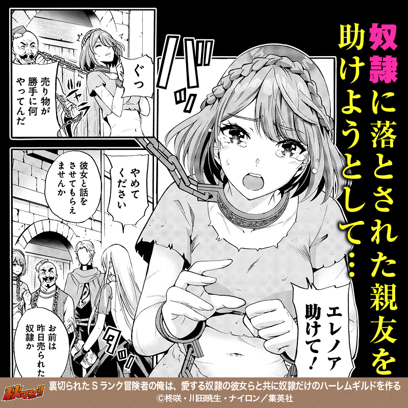裏切られたSランク冒険者の俺は、愛する奴隷の彼女らと共に奴隷だけのハーレムギルドを作る