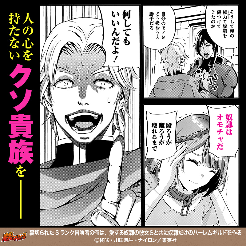 裏切られたSランク冒険者の俺は、愛する奴隷の彼女らと共に奴隷だけのハーレムギルドを作る