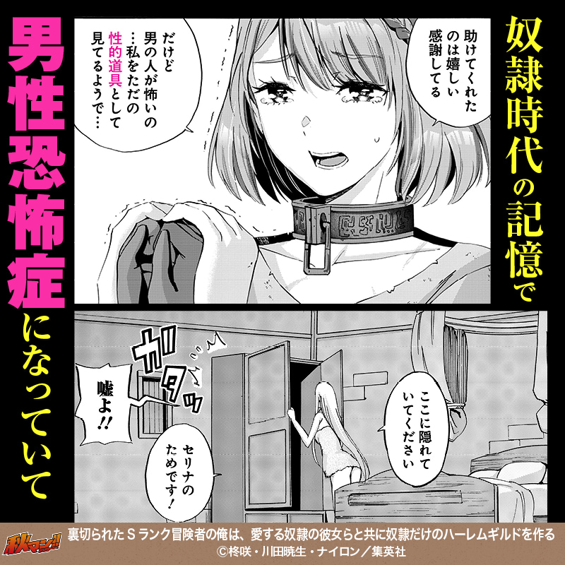 裏切られたSランク冒険者の俺は、愛する奴隷の彼女らと共に奴隷だけのハーレムギルドを作る