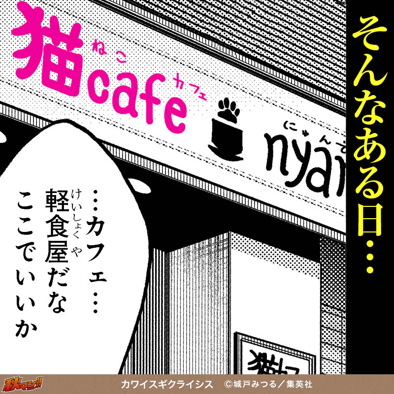 カワイスギクライシス