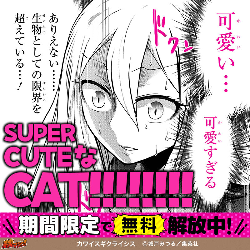 カワイスギクライシス
