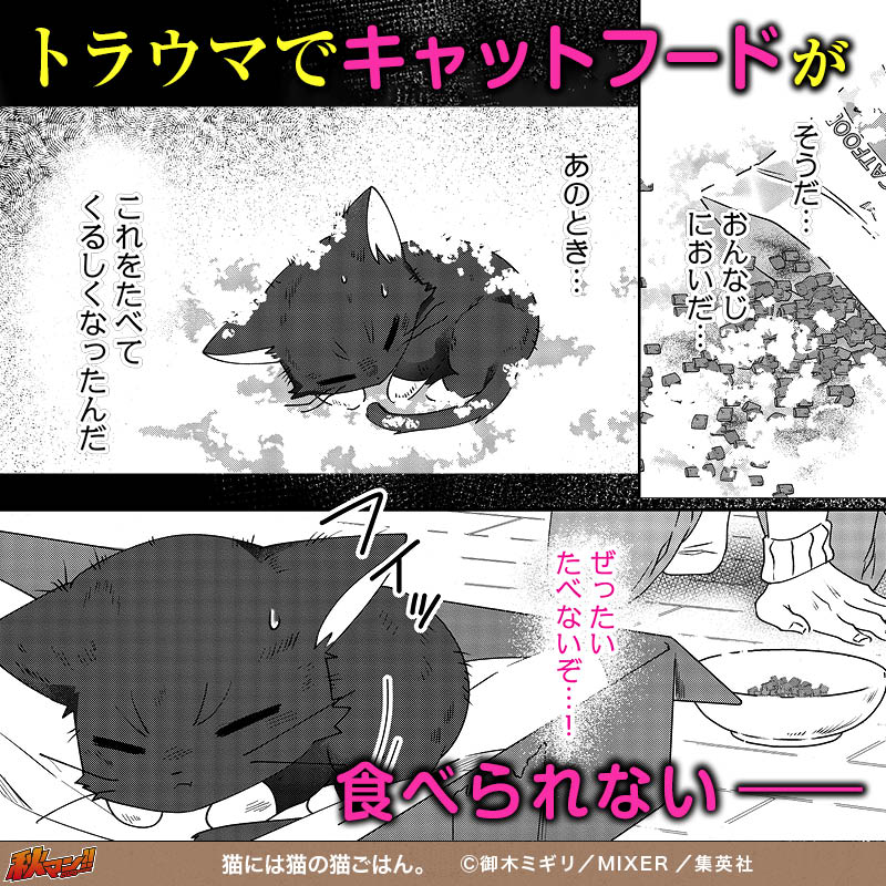 猫には猫の猫ごはん。