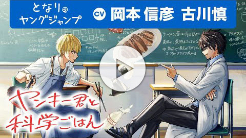 ヤンキー君と科学ごはん